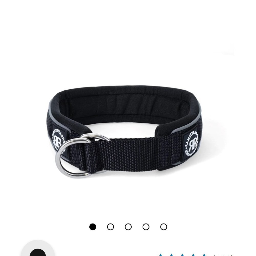 Dog Slip Collar